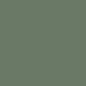 K521 Дымчато-зеленый